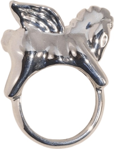Pegasus Ring