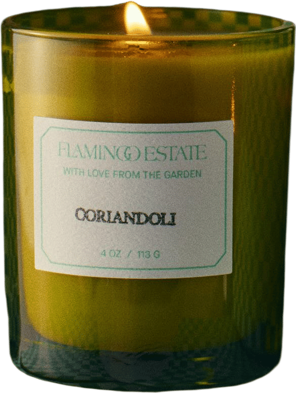 coriandoli flamingo estate