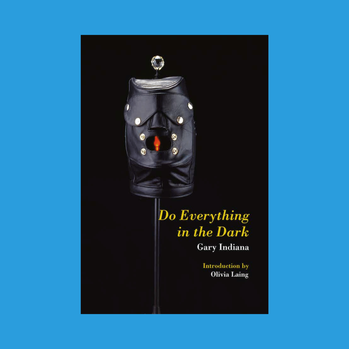 Do Everything in the Dark by Gary Indiana