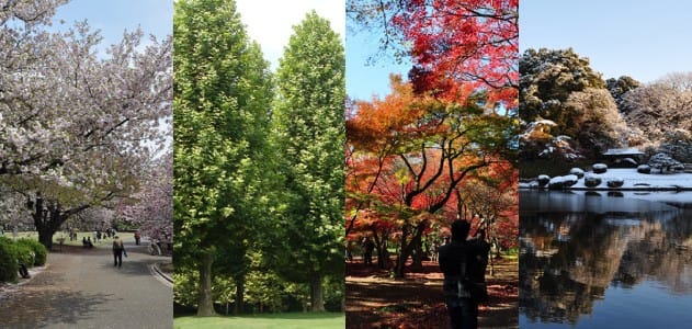 Shinjuku Gyoen Stroll map