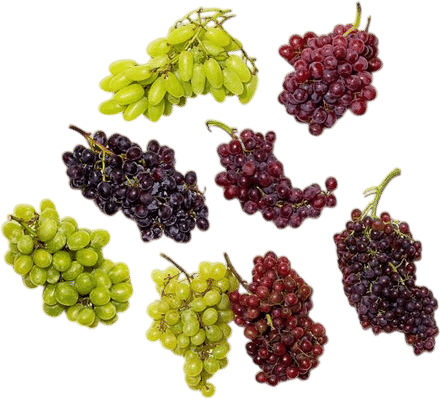Eating grapes in the kitchen in your bathing suit