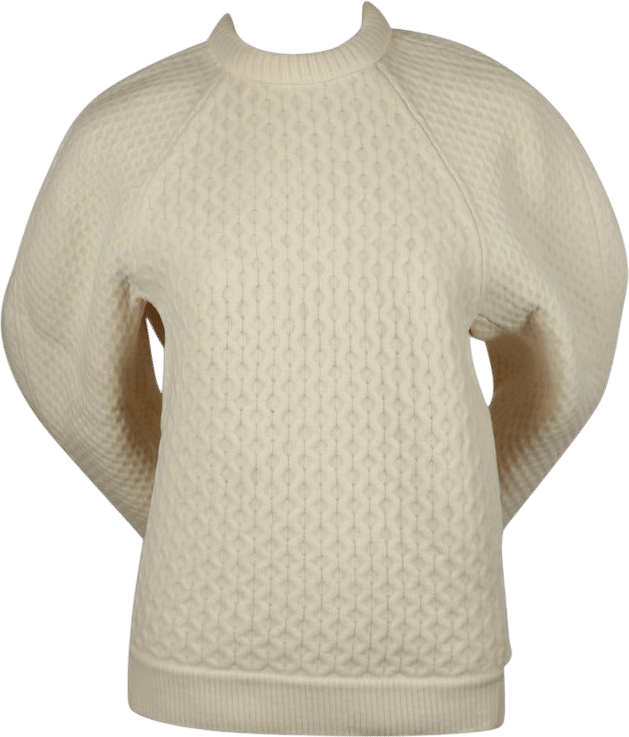 CELINE by PHOEBE PHILO 2012 runway sweater with rounded sleeves and net overlay