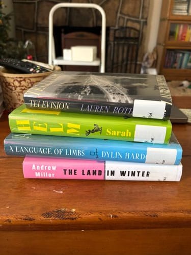 Not buying books for one year