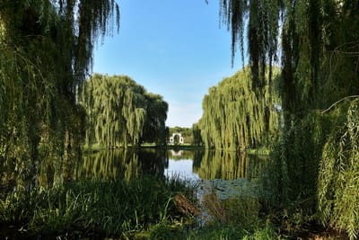 Douglass Park