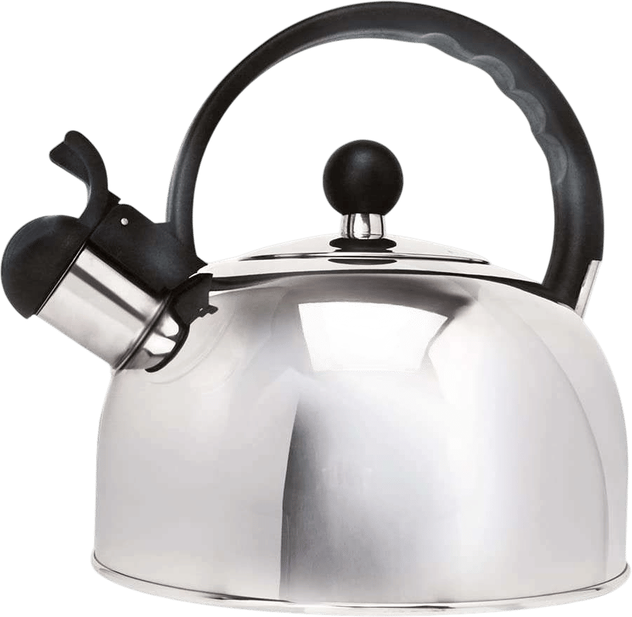 Primula’s stainless kettle