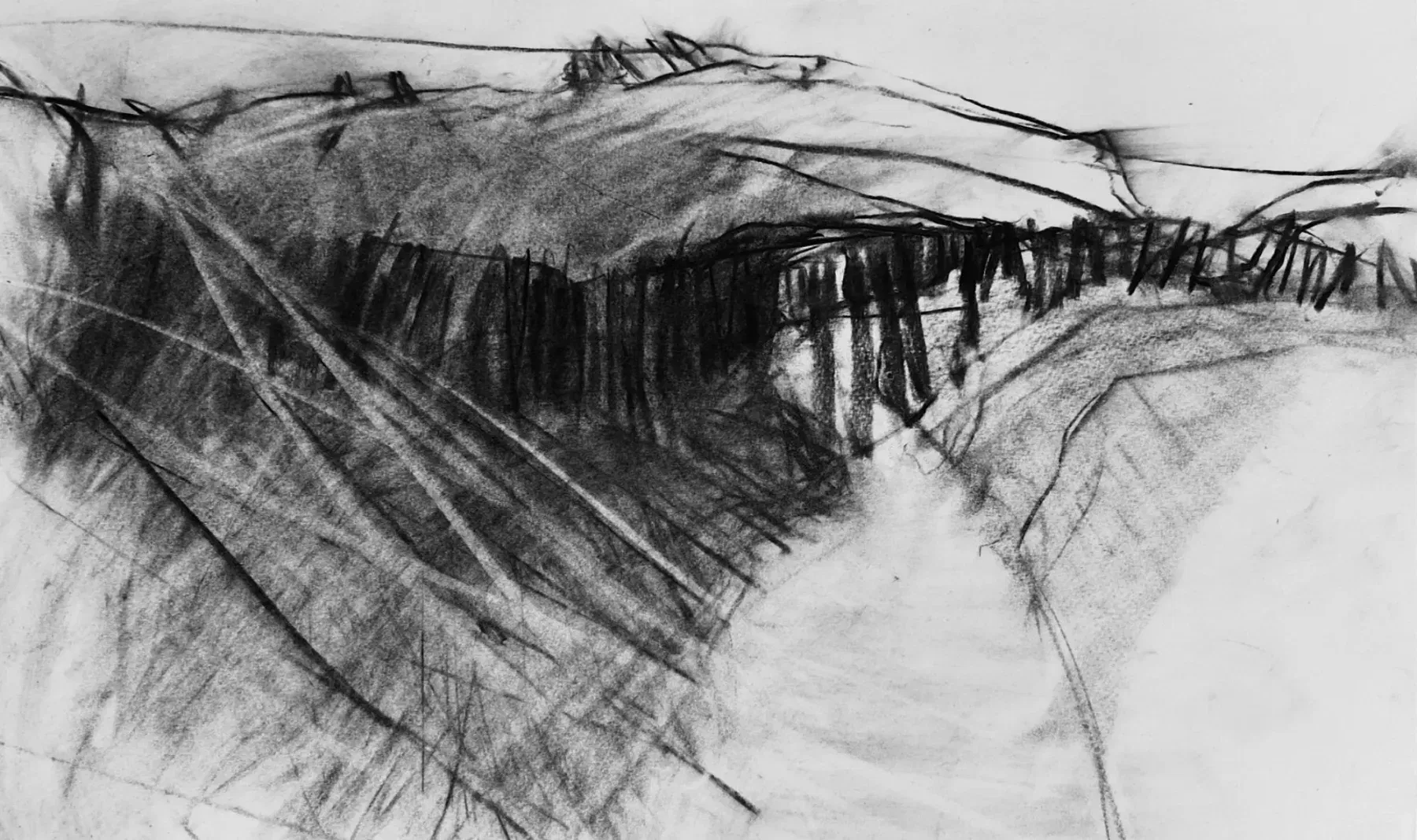 Drawing — Helen Ward