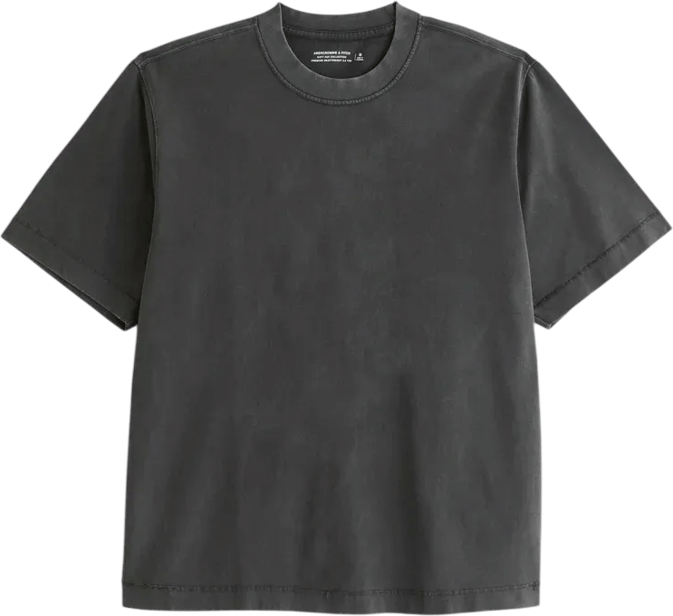Abercrombie & Fitch Premium Heavyweight 2.0 Tee