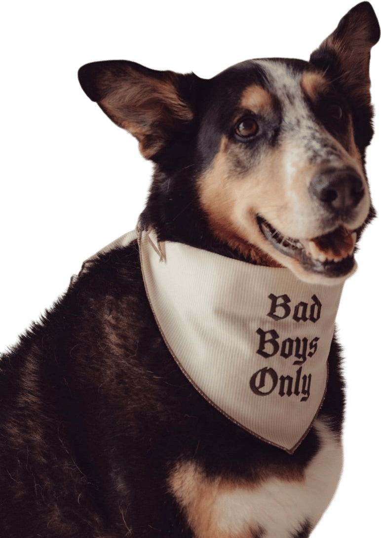The Indie Bandana