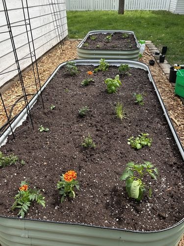 vego garden beds