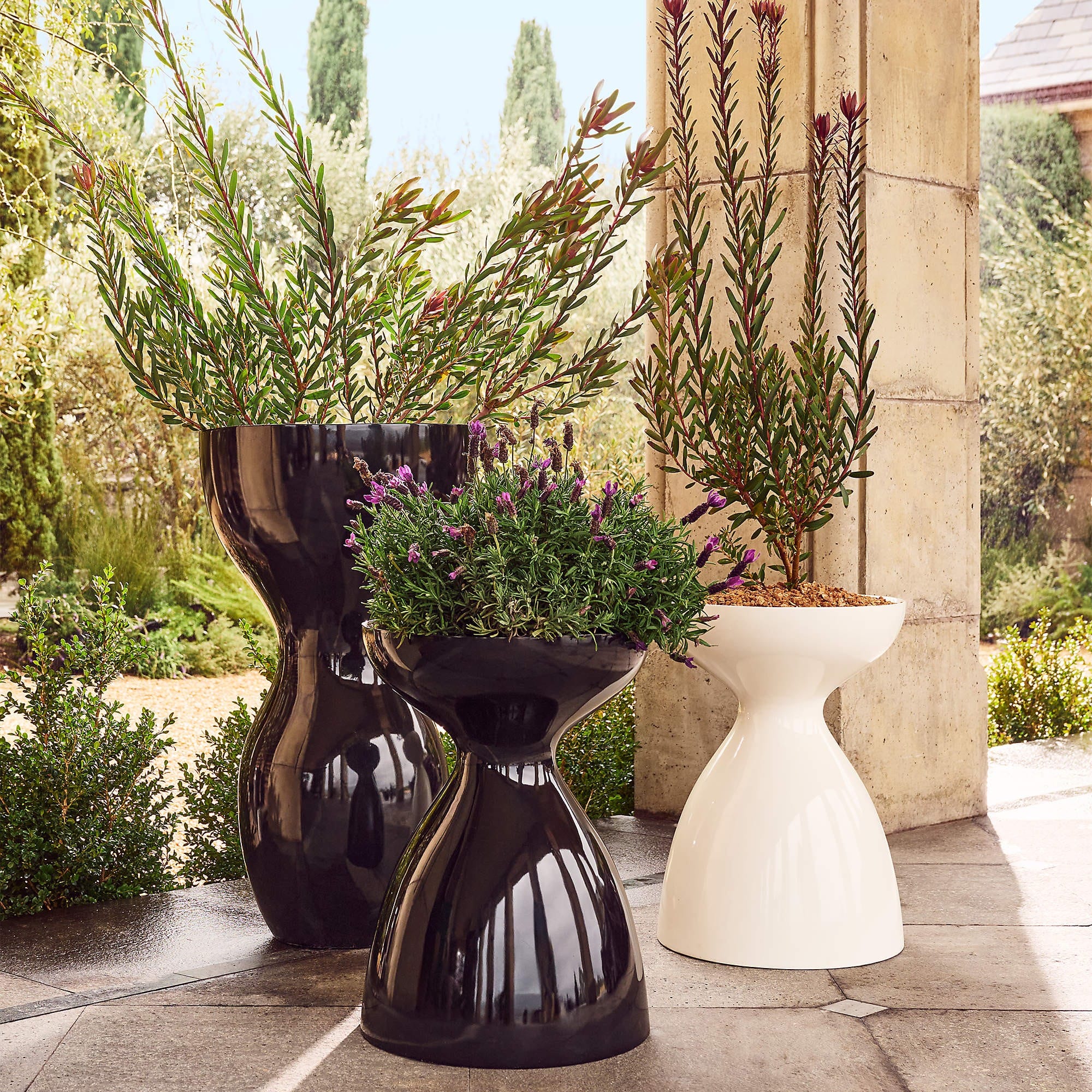 High gloss planters