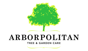 ISA-Certified Arborists