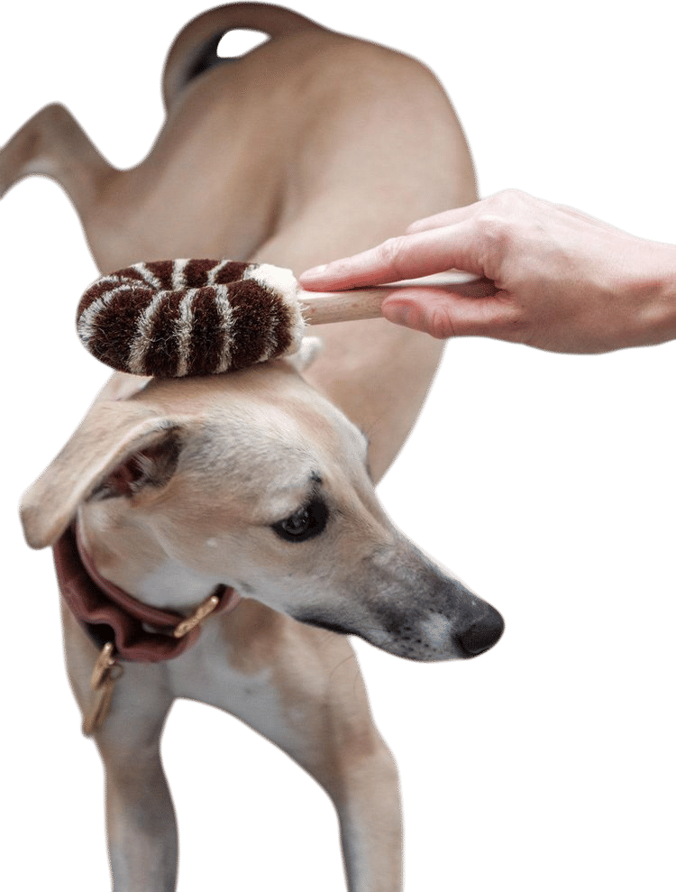 Kitayama Dog Brush