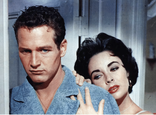 Cat on a Hot Tin Roof