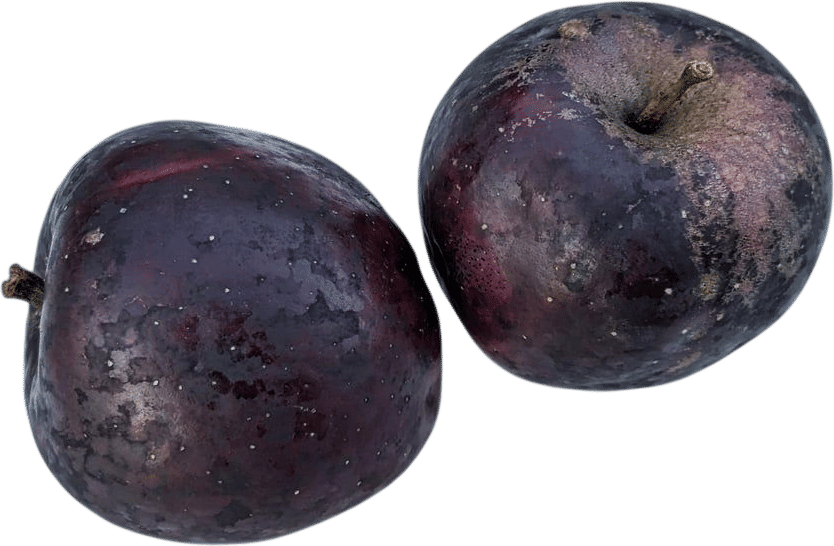 Black Oxford Apples