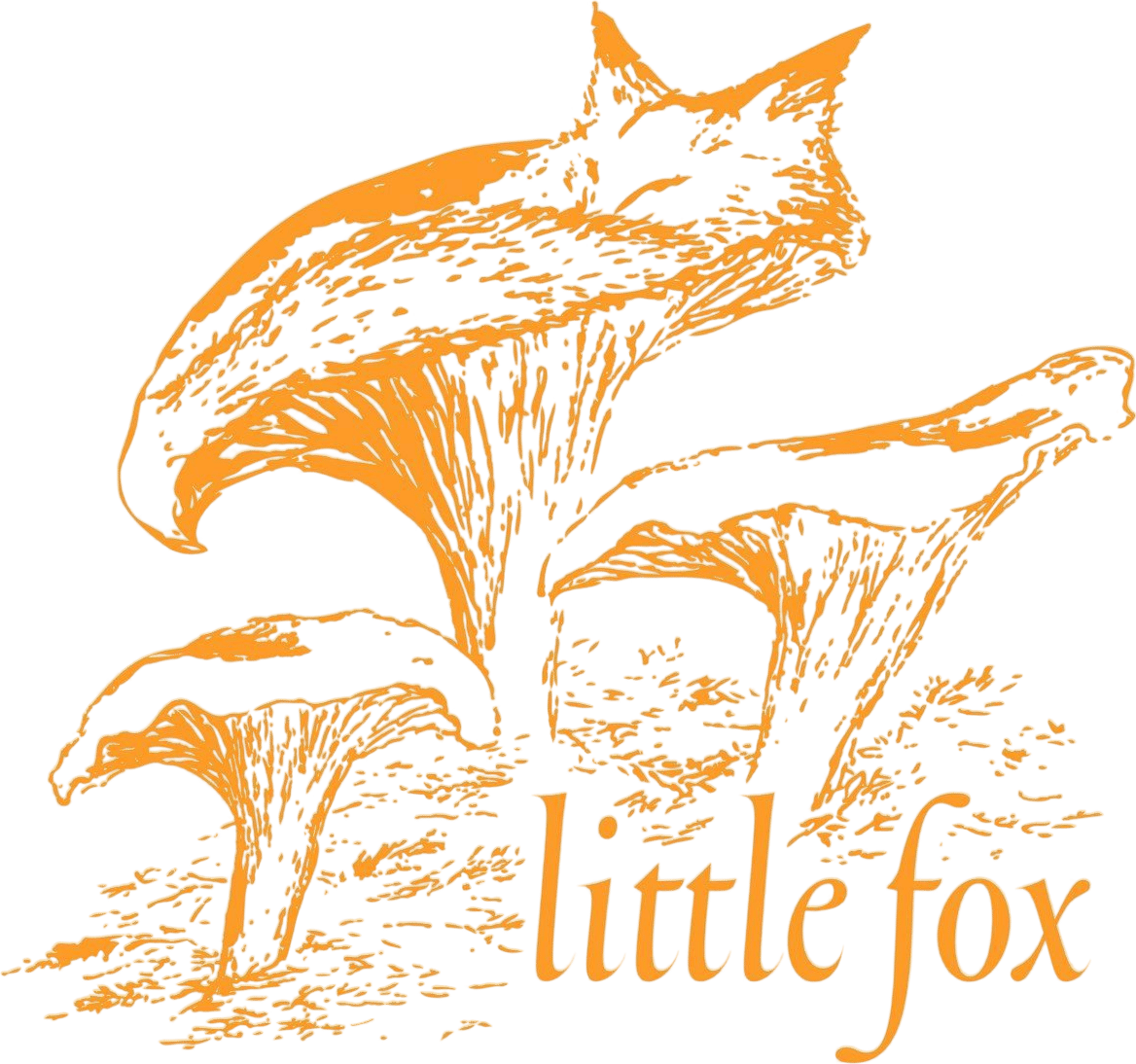 Little Fox