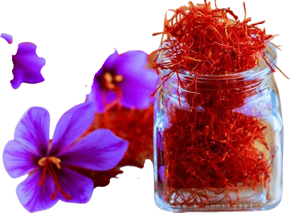 Greek Red Saffron (Krokos Koazanis)
