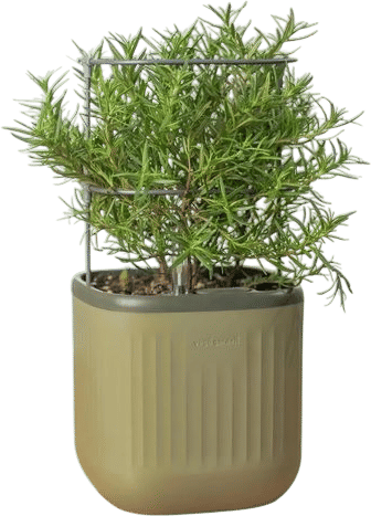 Vego Mini Garden Self-Watering Planter