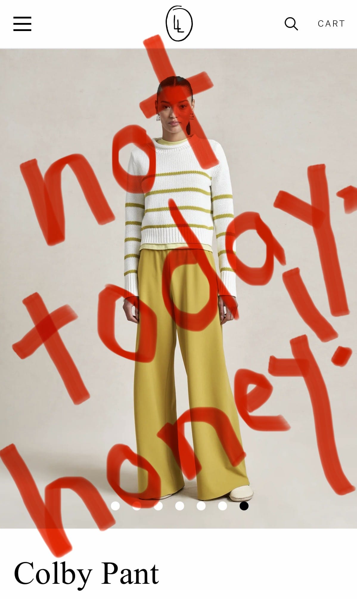 One calendar year of no brand new clothes