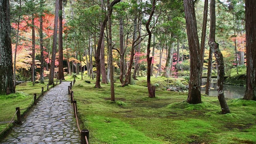Japanese gardens -- especially Kokedera in Kyoto.