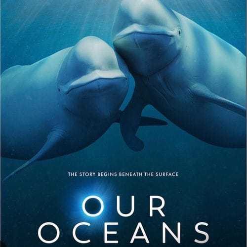 our oceans (netflix)