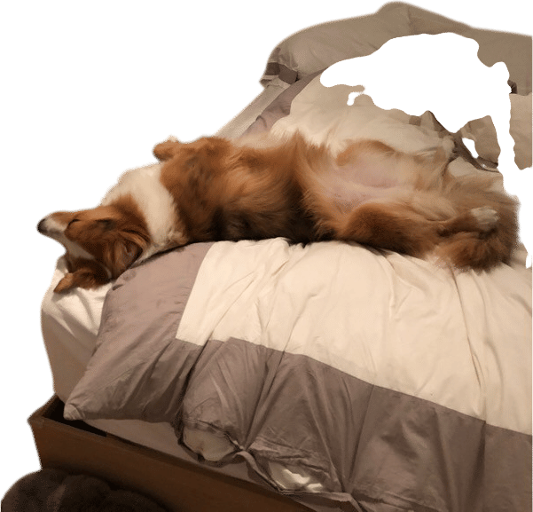 Staying in bed an hour after waking up