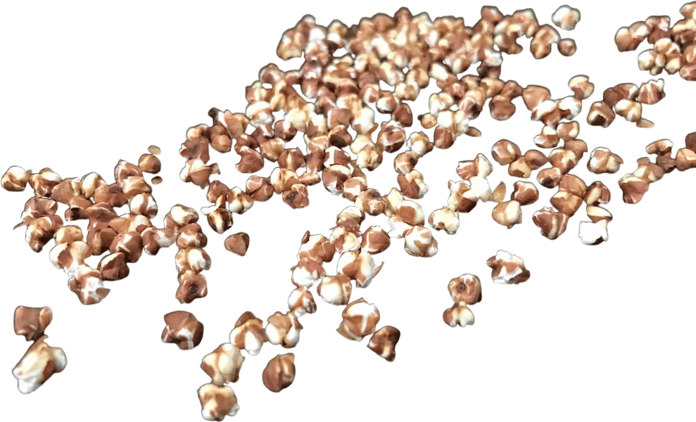 Popped Buckwheat