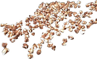 Popped Buckwheat