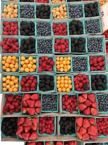 Silver Lake Farmers Market