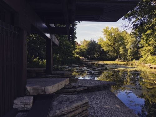 the alfred caldwell lily pool