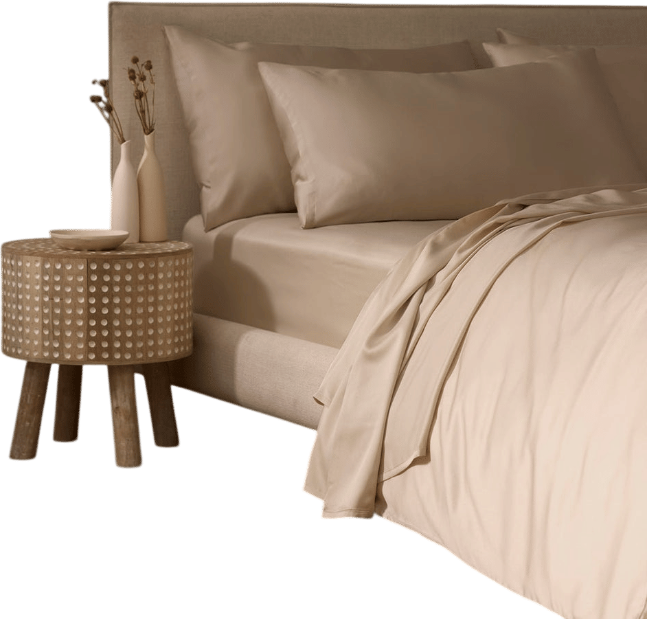 Cozy Earth Bamboo Vicose Sheet Set