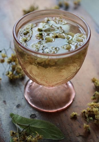 Linden Tea: How to Forage and Dry Flowers