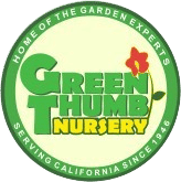 Green Thumb Nursery