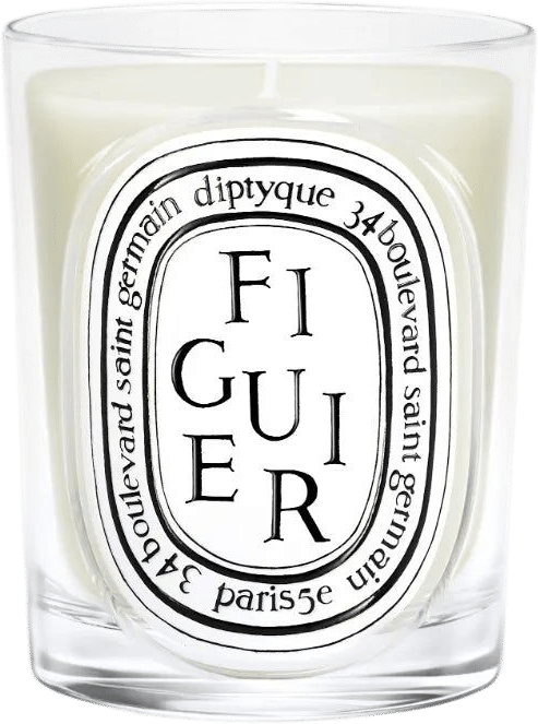 Figuier Diptyque candle
