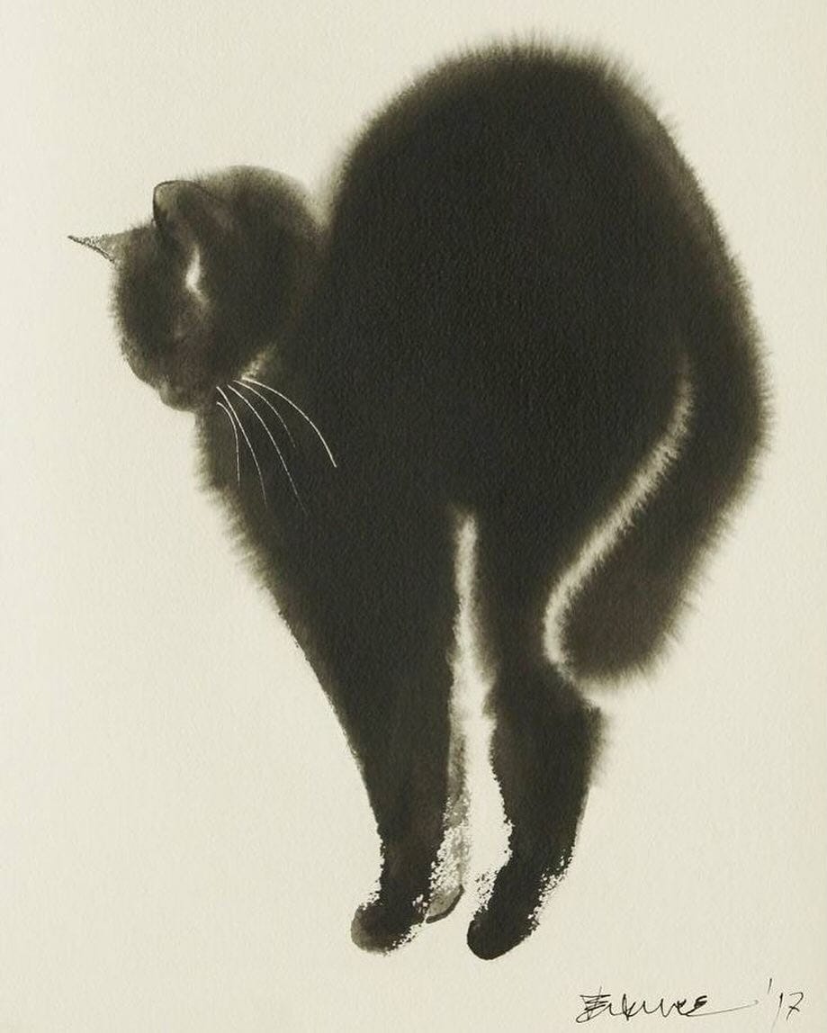 Morning Stretch (Endre Penovác)