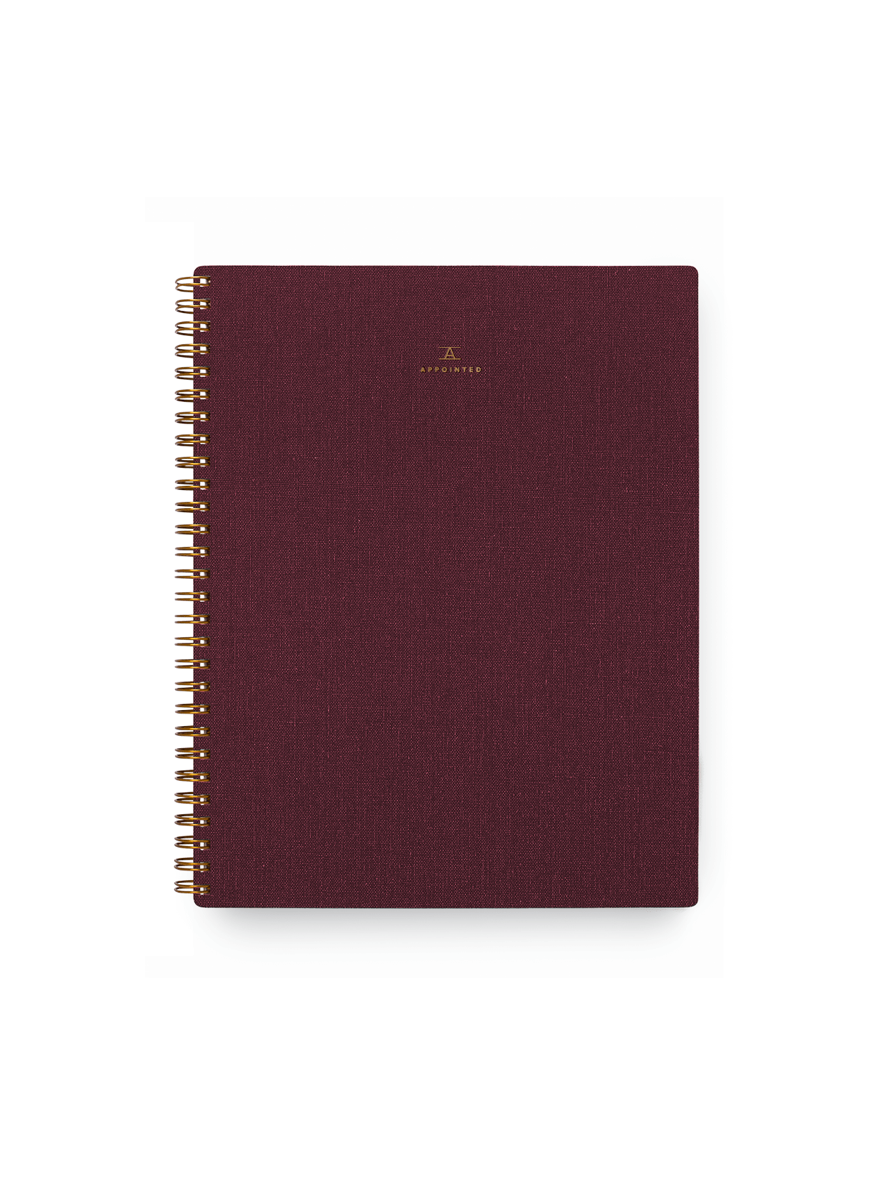 The Notebook