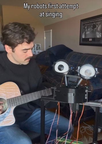 Dylan Delirium