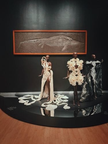 Art on view 