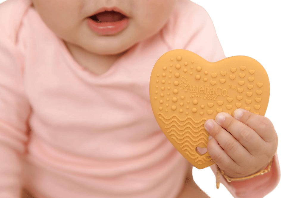 Concha Teether