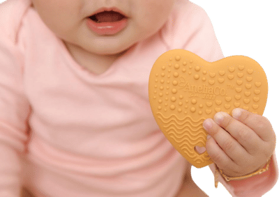 Concha Teether