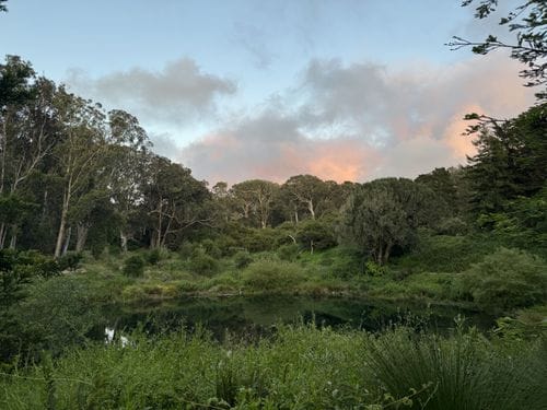 Lakes Loop, Golden Gate Park
