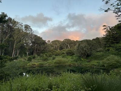 Lakes Loop, Golden Gate Park