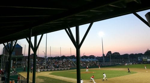 Newport Gulls