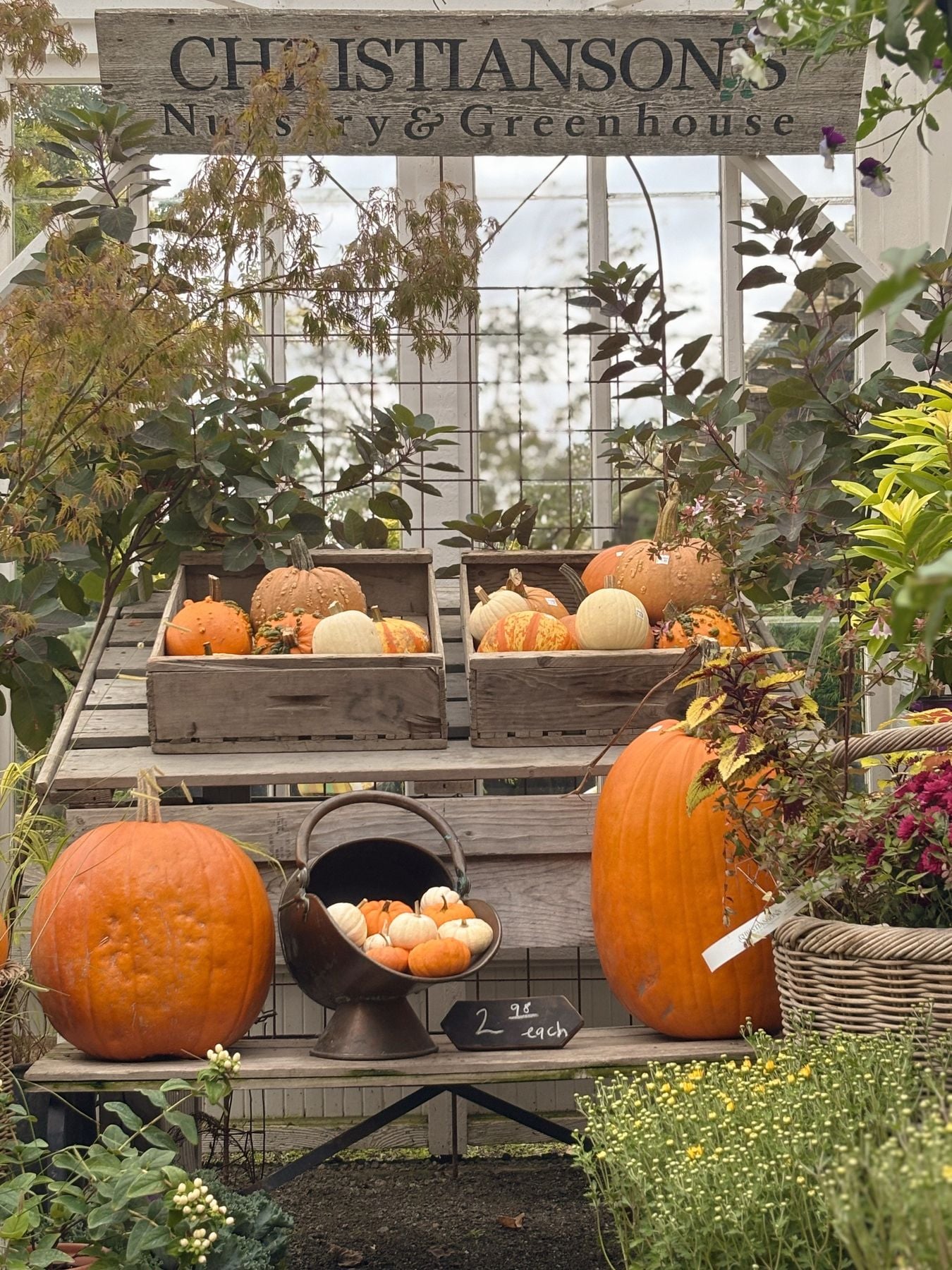 Christianson’s Nursery