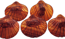 Vintage set of faux tortoise shell napkin rings