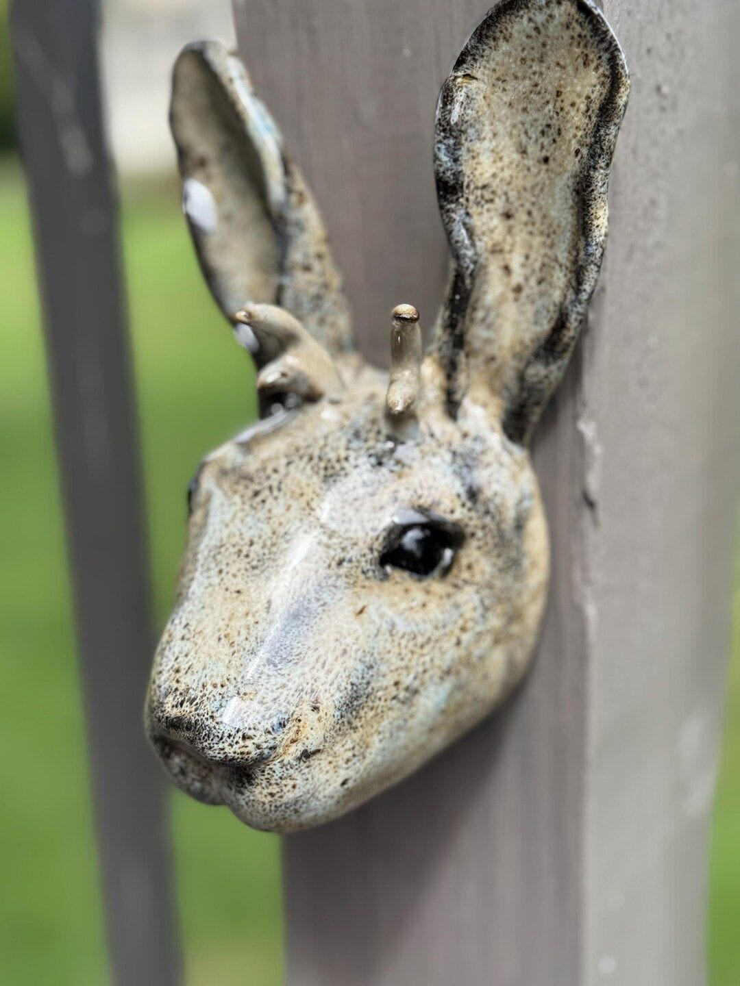 Everyone needs a jackalope