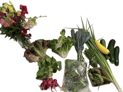Dancing Harvest Farm