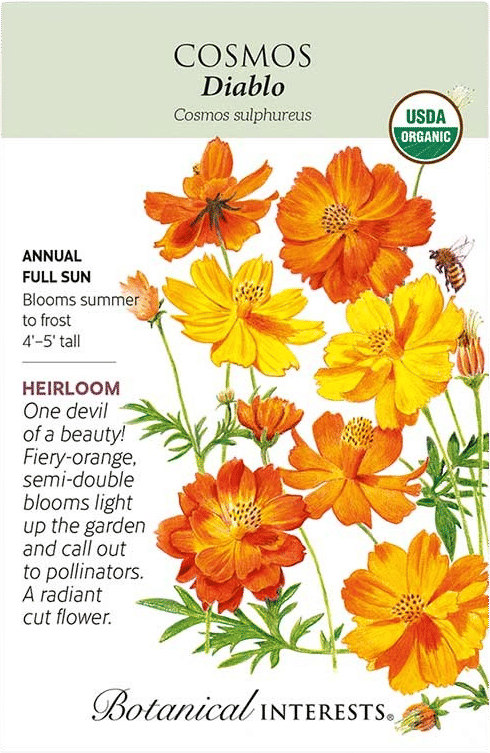 Diablo Cosmos Seeds