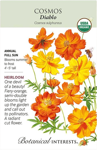 Diablo Cosmos Seeds