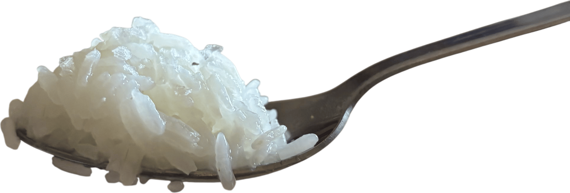 a spoonfull of fresh rice