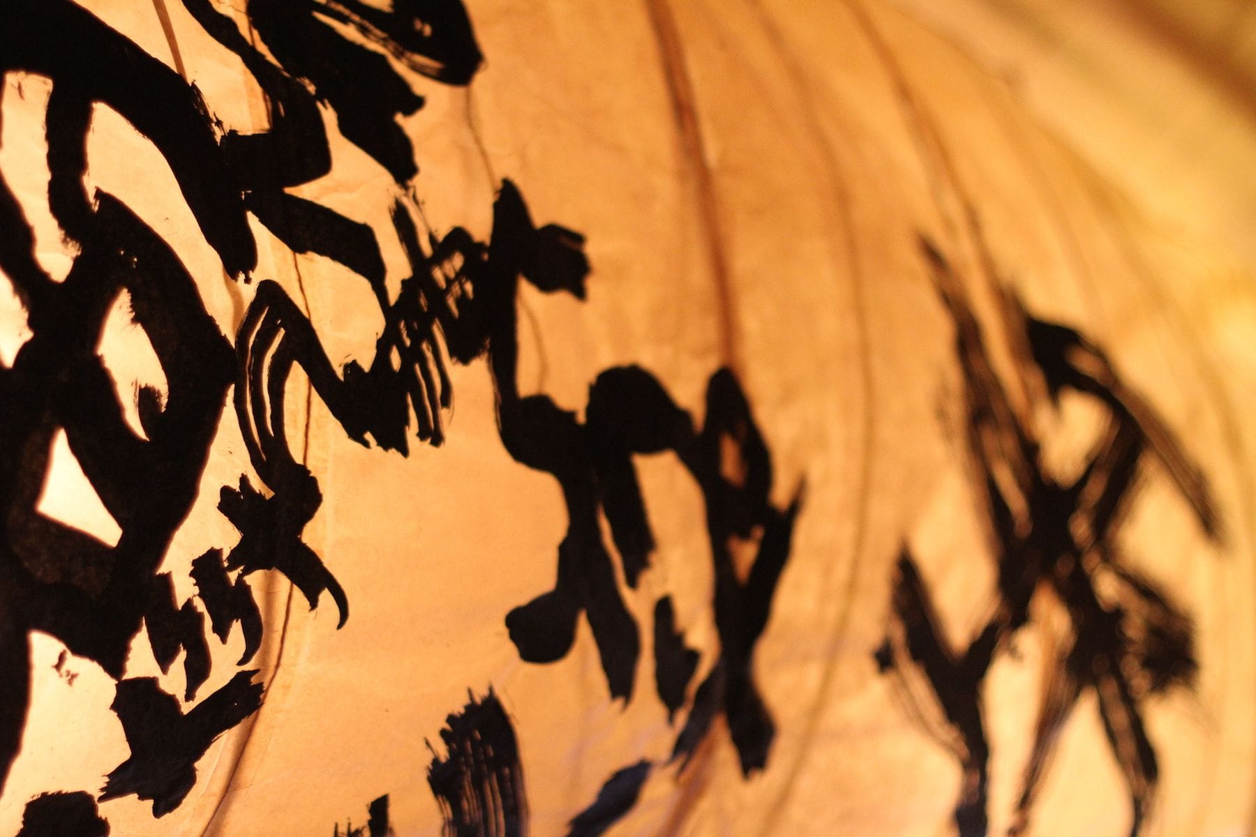 kazu montreal